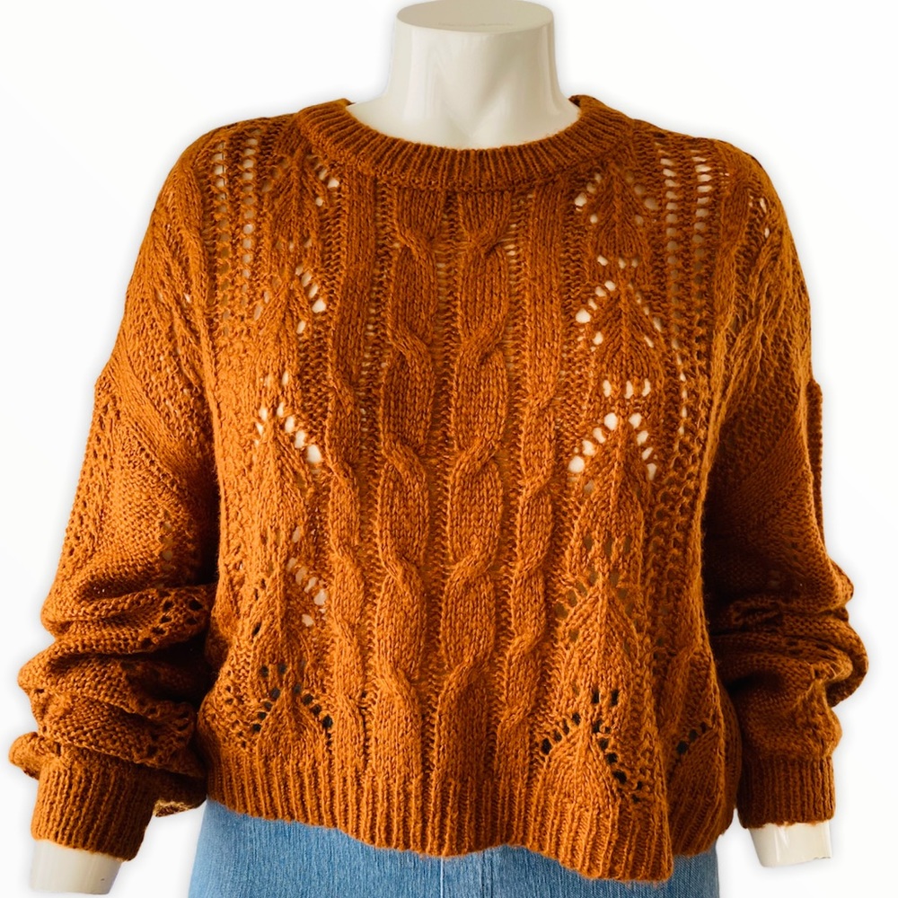 $10 SALE!! Jolie & Joy Burnt Orange Crochet Crop Sweater - Picture 1 of 9